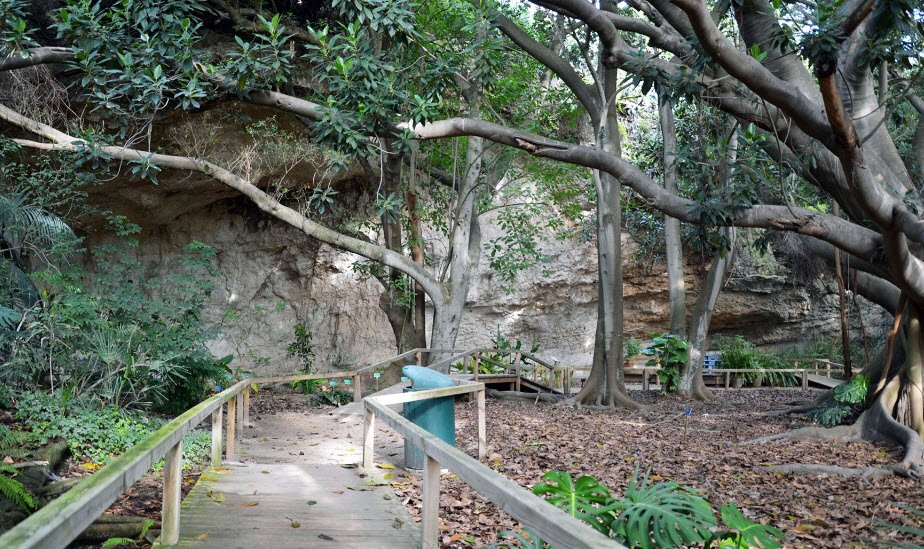 Orto Botanico di Cagliari, Cagliari, Italy, Italy